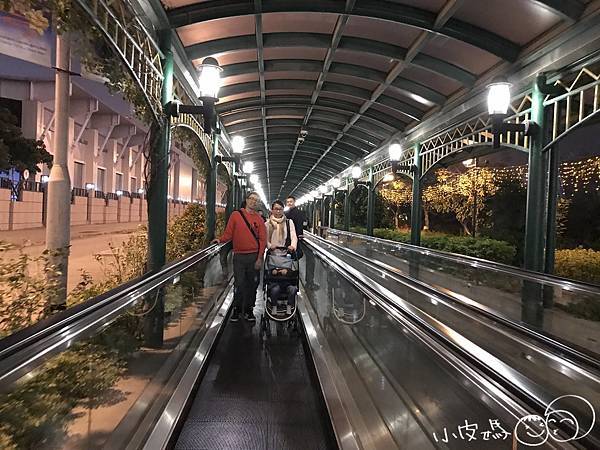 IMG_1785.jpg IMG_1785.jpg