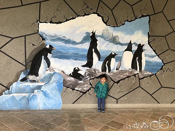 IMG_1366.jpg IMG_1366.jpg