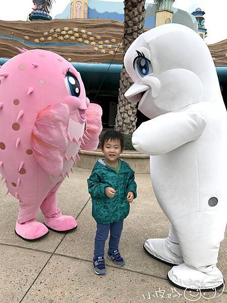 IMG_1372.jpg IMG_1372.jpg