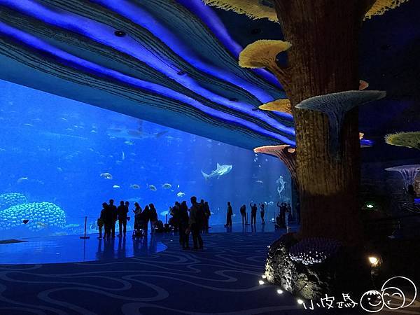 IMG_1514.jpg IMG_1514.jpg