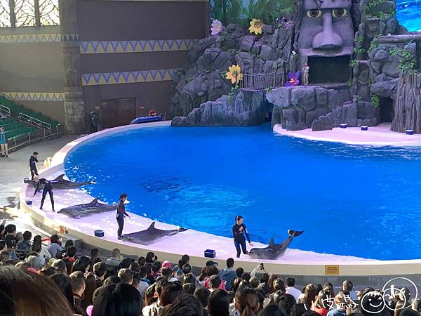 20180111_180113_0015.jpg 20180111_180113_0015.jpg