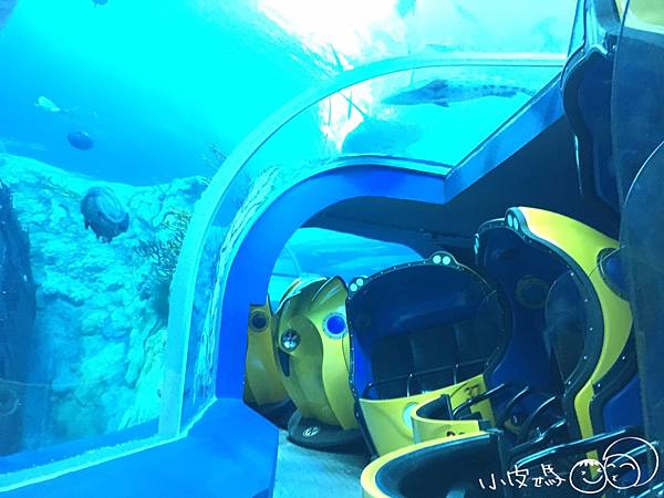 S__17465352.jpg S__17465352.jpg