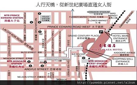 圖片11 圖片11