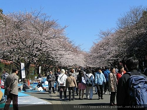 上野公園.jpg