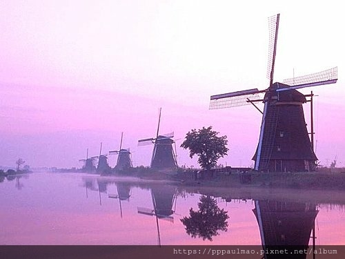 荷蘭的風車(1).jpg