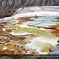 Yellowstone.jpg