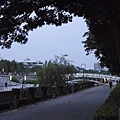 早晨的河堤公園(2).jpg