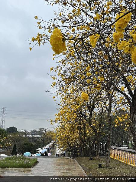 年後嘉義一日遊