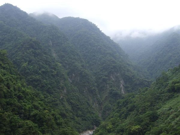 這真的蠻山上了