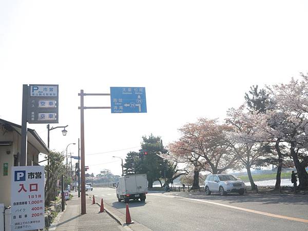 IMG_6710 IMG_6710