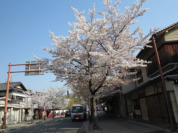 IMG_6711 IMG_6711