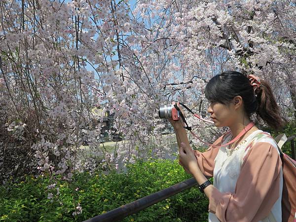 IMG_6783 IMG_6783