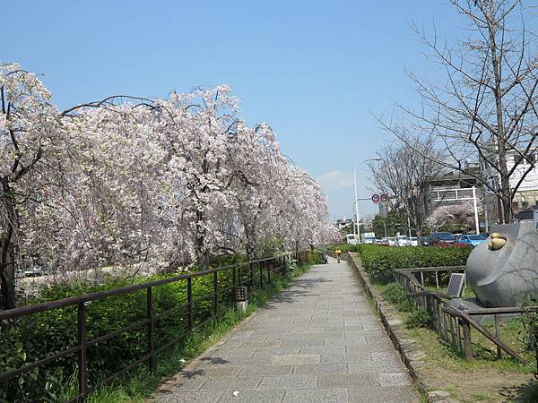 IMG_6780 IMG_6780