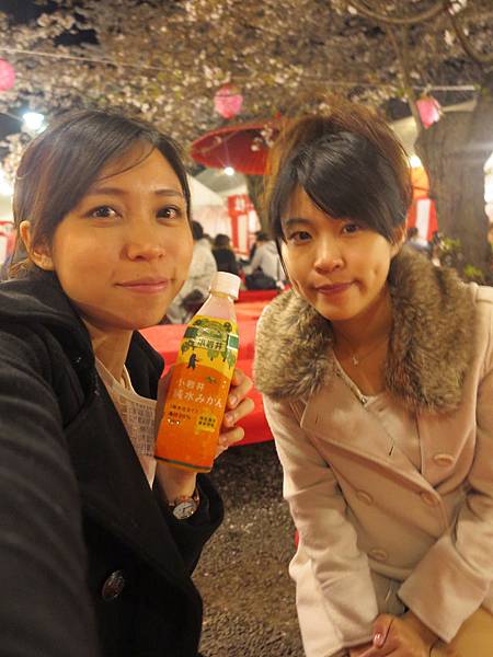 IMG_6986 IMG_6986
