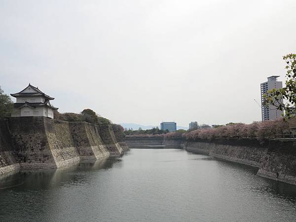 IMG_7683 IMG_7683