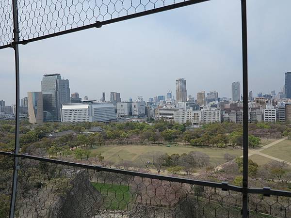 IMG_7714 IMG_7714