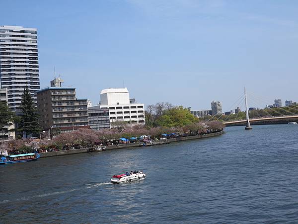 IMG_7738 IMG_7738