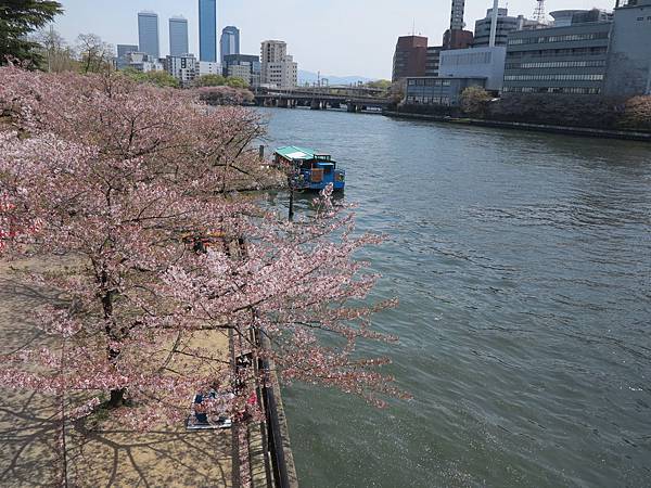 IMG_7740 IMG_7740