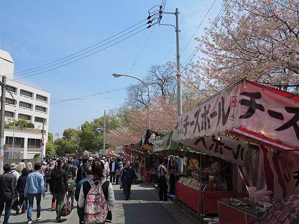 IMG_7743 IMG_7743