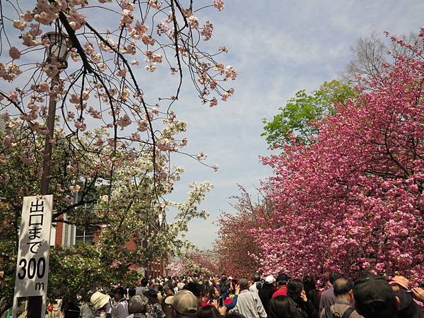 IMG_7805 IMG_7805