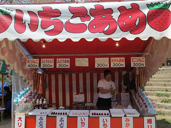 IMG_7833 IMG_7833