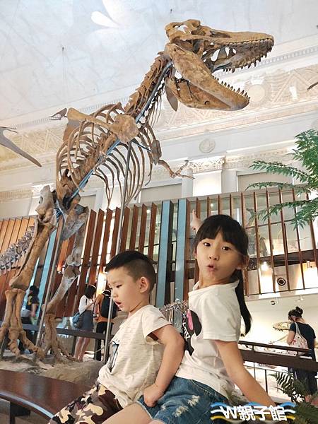 花銅板就能玩台北-國立台灣博物館土銀展示館恐龍大軍出沒,恐龍咖啡館喝咖啡看化石(台北雨天備案親子景點)