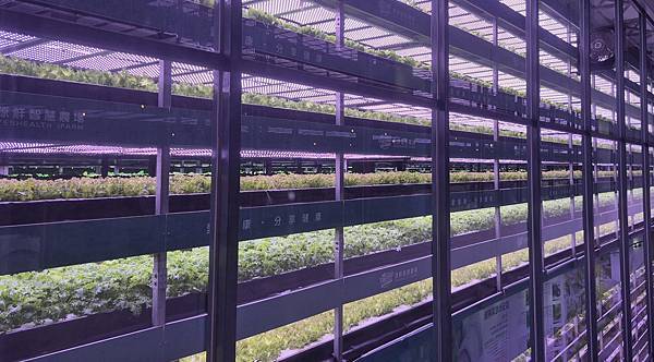 ESG的真實體驗：源鮮農場