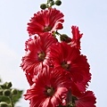 IMG_0011.jpg