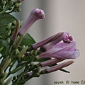 IMG_7422.jpg