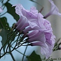 IMG_7436.jpg