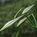 IMG_5885.jpg