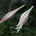 IMG_5920.jpg