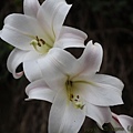 IMG_5914.jpg