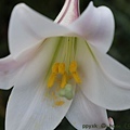 IMG_5924.jpg