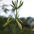 IMG_5944.jpg