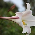 IMG_5925.jpg