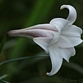 IMG_9666.jpg