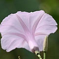 IMG_8161.jpg