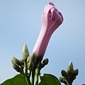 IMG_8163.jpg