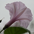 IMG_5256.jpg
