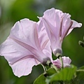 IMG_8162.jpg