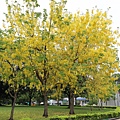 IMG_6705.jpg