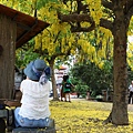 IMG_6717.jpg