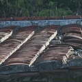 IMG_2891.jpg