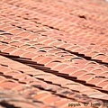 IMG_2896.jpg