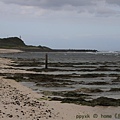 IMG_0779.jpg