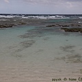 IMG_0780.jpg