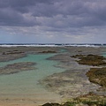 IMG_0781.jpg