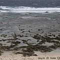 IMG_0783.jpg