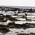 IMG_0807.jpg